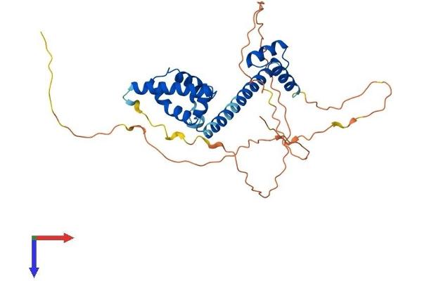 POU5F2 Protein (AA 1-329) (His tag)