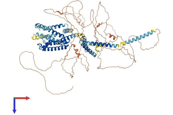 KCNQ5 Protein (AA 1-933) (His tag)