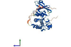 Protein Structure (PS) image for Pim-3 Oncogene (PIM3) (AA 1-326) protein (His tag) (ABIN7550821)