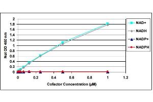 NAD+ Standard Curve and Specificity of Assay for NAD+ and NADH.