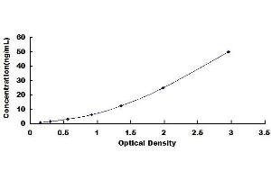 Typical standard curve (CYP2B6 ELISA Kit)