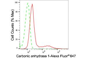 Flow cytometric analysis of Carbonic anhydrase 1 expression in H9c2 cells using Carbonic anhydrase 1 antibody (ABIN7797867), 1:2,000). (Rekombinanter CA1 Antikörper)