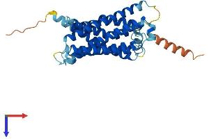 MRGPRE Protein (AA 1-310) (His tag)