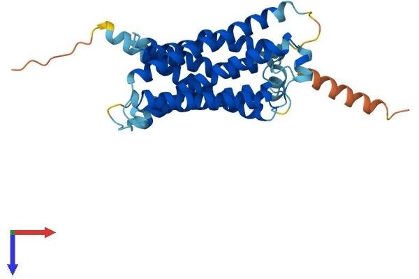 MRGPRE Protein (AA 1-310) (His tag)