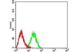 Flow cytometric analysis of HL-60 cells using CD197 mouse mAb (green) and negative control (red). (CCR7 Antikörper)