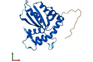 Protein Structure (PS) image for Apolipoprotein B mRNA Editing Enzyme, Catalytic Polypeptide-Like 3H (APOBEC3H) (AA 1-200) protein (His tag) (ABIN7551759)