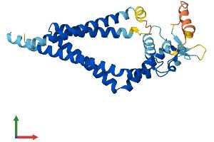 Protein Structure (PS) image for Tetraspanin 26 (TSPAN26) (AA 1-281) protein (His tag) (ABIN7553221)