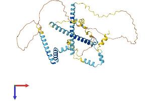 CWC25 Protein (AA 1-416) (His tag)