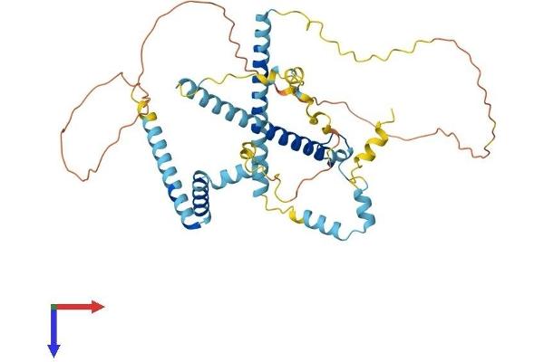 CWC25 Protein (AA 1-416) (His tag)