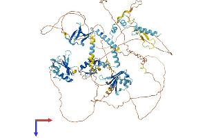 RBM10 Protein (AA 1-930) (His tag)