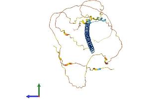 Protein Structure (PS) image for FBJ Murine Osteosarcoma Viral Oncogene Homolog B (FOSB) (AA 1-338) protein (His tag) (ABIN7562858)