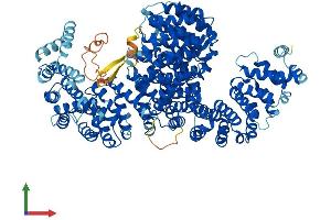 Protein Structure (PS) image for Importin 4 (IPO4) (AA 1-1081) protein (His tag) (ABIN7554169)