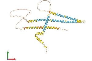 AlphaFold protein structure predicition of Human Recombinant SMCO2 Protein, UniprotID A6NFE2 (SMCO2 Protein (AA 1-343) (His tag))