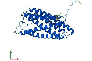 AlphaFold protein structure predicition of Human Recombinant DRAM1 Protein, UniprotID Q8N682