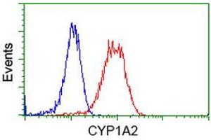 Flow cytometric Analysis of Jurkat cells, using anti-CYP1A2 antibody (ABIN2452929), (Red), compared to a nonspecific negative control antibody (ABIN2452929), (Blue). (CYP1A2 Antikörper)