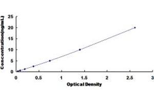 LPHN3 ELISA Kit