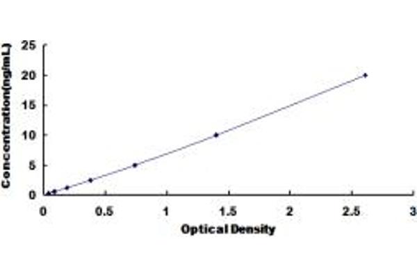 LPHN3 ELISA Kit