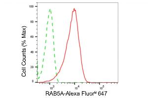Flow cytometric analysis of RAB5A expression in HepG2 cells using RAB5A antibody (ABIN7800099), 1:2,000).