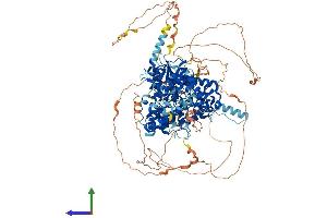 AlphaFold protein structure predicition of Mouse Recombinant Fam120c Protein, UniprotID Q8C3F2