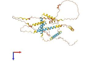Nuclear Pore Complex Interacting Protein Family, Member B8 (NPIPB8) (AA 1-432) protein (His tag)