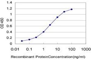 Detection limit for recombinant GST tagged THNSL1 is approximately 0. (THNSL1 Antikörper  (AA 151-250))