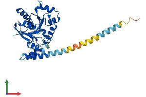 AlphaFold protein structure predicition of Mouse Recombinant Gimap1 Protein, UniprotID P70224 (GTPase, IMAP Family Member 1 (GIMAP1) (AA 1-277) protein (His tag))