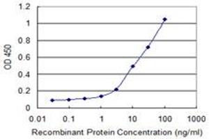 ELISA image for anti-Major Histocompatibility Complex, Class II, DQ alpha 1 (HLA-DQA1) (AA 24-110) antibody (ABIN516498)