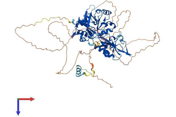 DCLRE1C Protein (AA 1-692) (His tag)