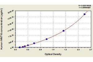 Typical standard curve (WNT16 ELISA Kit)