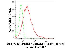 Flow cytometric analysis of Eukaryotic translation elongation factor 1 gamma expression in HepG2 cells using Eukaryotic translation elongation factor 1 gamma antibody (ABIN7798500), 1:2,000).