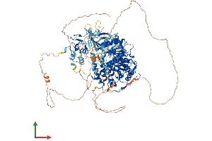 Protein Structure (PS) image for UPF1 Regulator of Nonsense Transcripts Homolog (UPF1) (AA 1-1124) protein (His tag) (ABIN7565027)