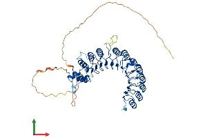 Protein Structure (PS) image for F-Box and Leucine-Rich Repeat Protein 7 (FBXL7) (AA 1-491) protein (His tag) (ABIN7557422)