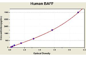 Diagramm of the ELISA kit to detect Human BAFFwith the optical density on the x-axis and the concentration on the y-axis.