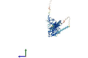 Protein Structure (PS) image for Neurofibromin 2 (NF2) (AA 1-595) protein (His tag) (ABIN7554520)
