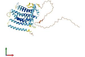 Protein Structure (PS) image for Transmembrane Protein 184C (TMEM184C) (AA 1-438) protein (His tag) (ABIN7544083)