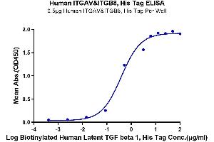 Immobilized Human ITGAV&ITGB8, His Tag at 5 μg/mL (100 μL/well) on the plate. (Integrin alpha V beta 8 (ITGAV & ITGB8) Heterodimer (AA 31-992) protein (His-Avi Tag))
