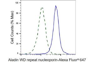 Validation of Aladin WD repeat nucleoporin knockdown using flow cytometry.