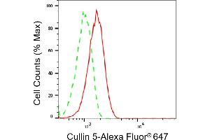 Flow cytometric analysis of Cullin 5 expression in C2C12 cells using Cullin 5 antibody (ABIN7798181), 1:2,000). (Cullin 5 Antikörper)