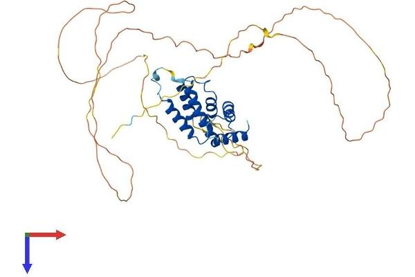 PPP4R2 Protein (AA 1-417) (His tag)