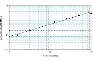 Enzyme Immunoassay (EIA) image for IgE ELISA Kit (ABIN2691014)