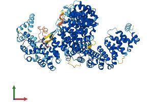 Protein Structure (PS) image for Importin 4 (IPO4) (AA 1-1082) protein (His tag) (ABIN7564770)