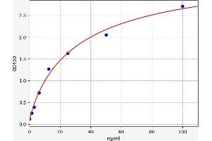 Retinol Binding Protein 4, Plasma (RBP4) ELISA Kit