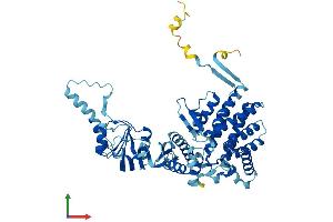 AlphaFold protein structure predicition of Mouse Recombinant Tcp1 Protein, UniprotID P11983