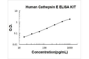 Human Cathepsin E PicoKine ELISA Kit standard curve