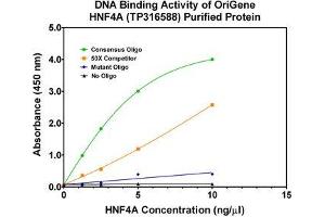 Bioactivity measured with Activity Assay (HNF4A Protein (Transcript Variant 6) (Myc-DYKDDDDK Tag))