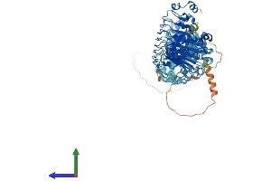 Protein Structure (PS) image for Leucine Rich Repeat Containing 8 Family, Member C (LRRC8C) (AA 1-803) protein (His tag) (ABIN7564714)