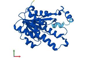 AlphaFold protein structure predicition of Mouse Recombinant Cbr2 Protein, UniprotID P08074