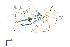SRRM1 Protein (AA 1-946) (His tag)