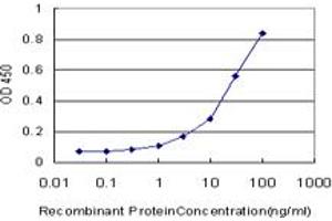 Detection limit for recombinant GST tagged CDH4 is approximately 0. (Cadherin 4 Antikörper  (AA 635-734))