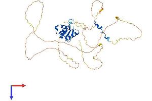 ELK4 Protein (AA 1-430) (His tag)